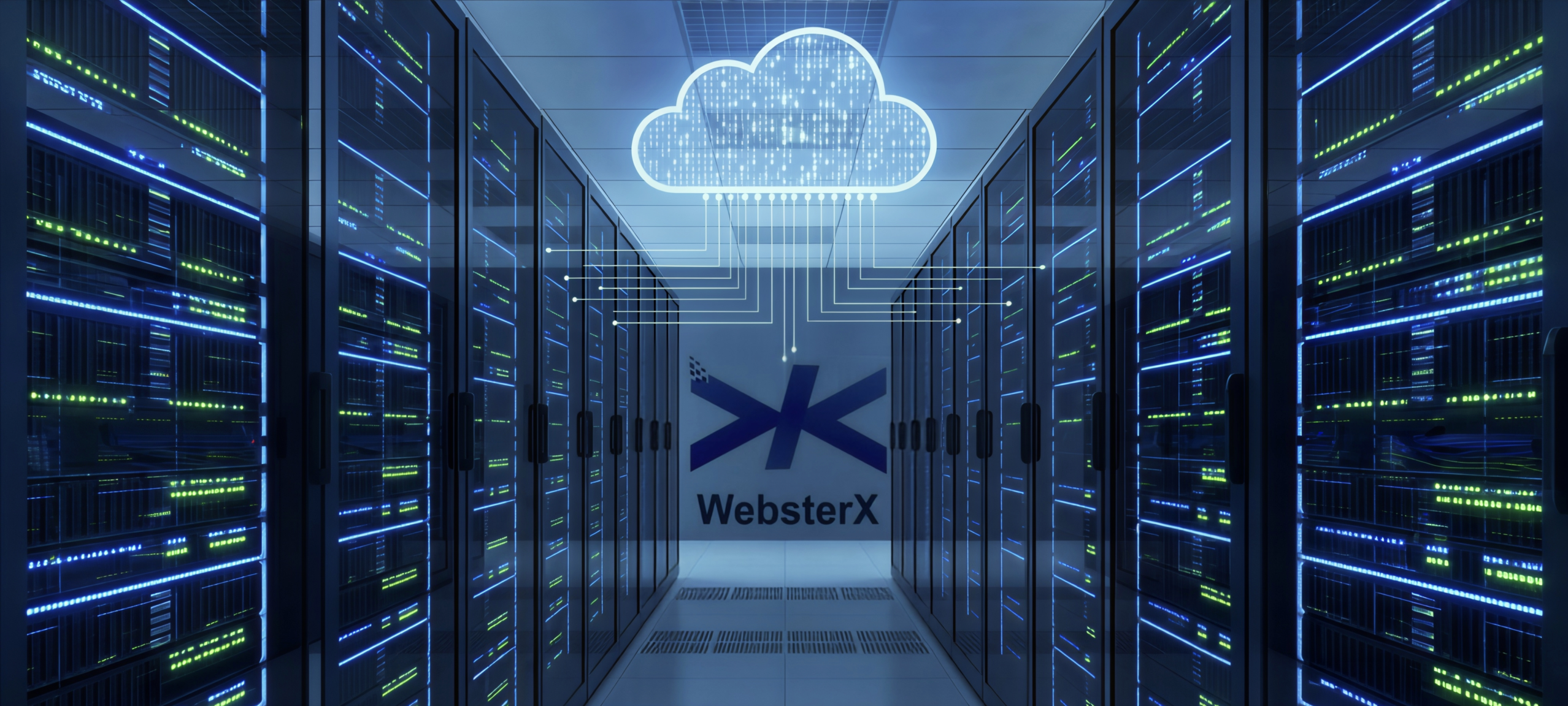 What is Web Hosting and Why Do You Need to Purchase It?